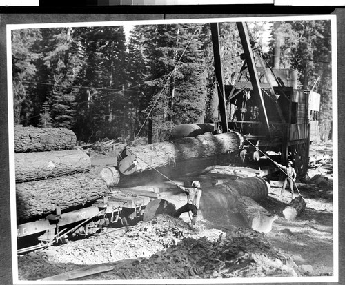 Loading Logs