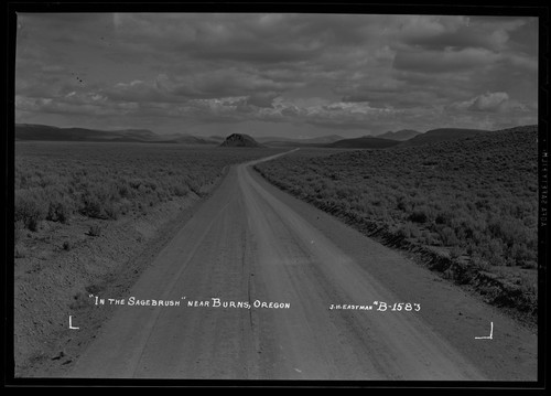 "In the Sagebrush" near Burns, Oregon