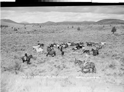 In the Devils Garden, Fort Rock, Oregon