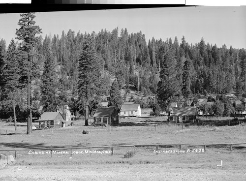 Cabins at Mineral Lodge, Mineral, Calif