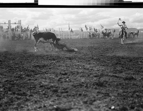 Lake County Ore. Rodeo