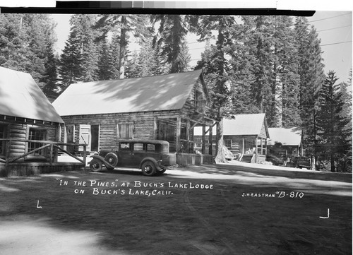 "In the Pines," at Buck's Lake Lodge on Buck's Lake, Calif