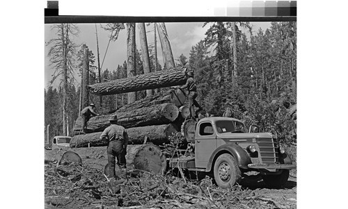 Logging truck