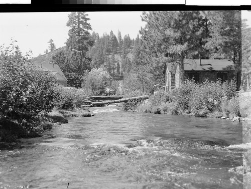 Cabins at Art Young's Resort, Old Station, California