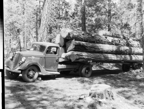 Doyle Motor Ford Logging Trucks