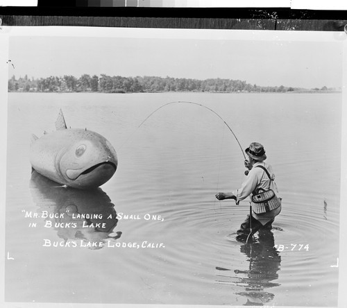 "Mr. Buck" Landing a Small One, in Buck's Lake, Buck's Lake Lodge, Calif