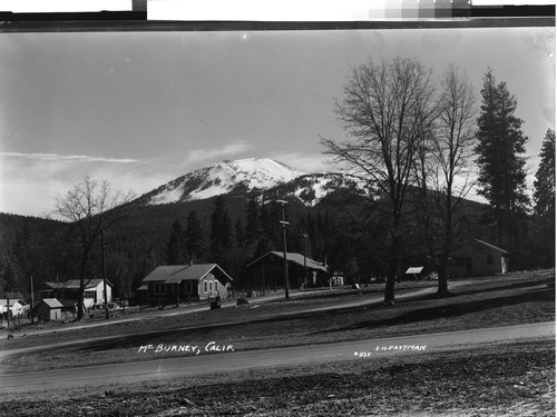 Mt. Burney, Calif