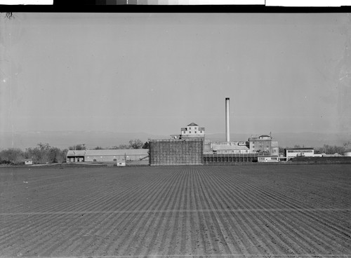 Holly Sugar Plant, Hamilton City, Calif