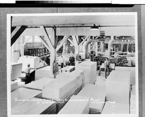 "Surfacing Veneer Panels" in Red River Lumber Co. Plant at Westwood, Calif