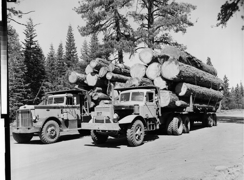 Fruit Growers Supply Co. Trucks