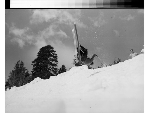 Skier turning Flip