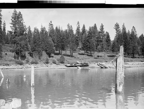 At Big Springs Camp, Lake Almanor, Calif