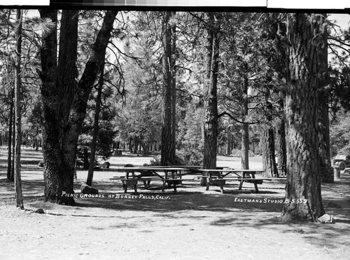 Picnic Grounds at Burney Falls, Calif