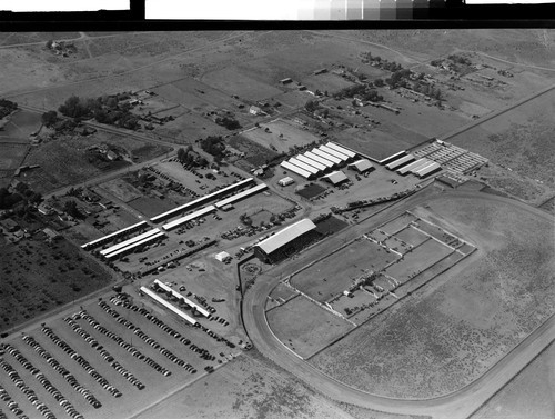 Susanville Fair & Rodeo--Air Shots