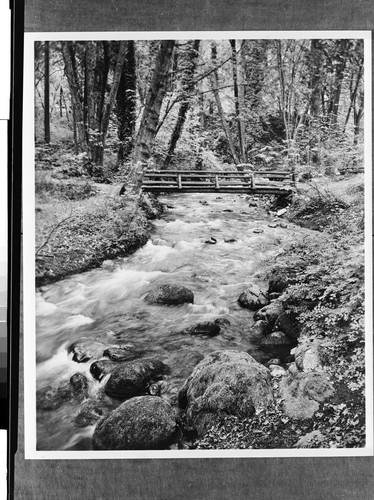 In Lithia Park, Ashland, Oregon