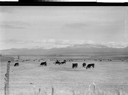 Near Alturas, Calif