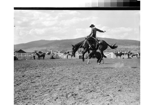 Rodeo Action Shots