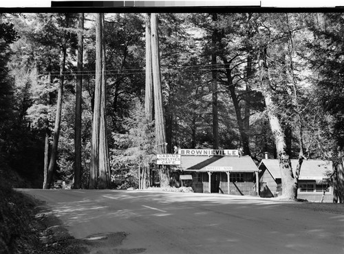 Along The Redwood Highway, Calif