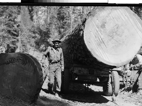 Red River Lumber Company Humbug Logging Operation