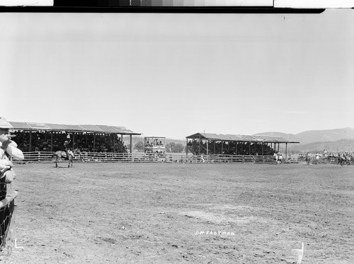 Chester Rodeo