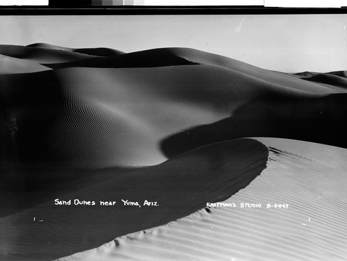 Sand Dune near Yuma, Ariz