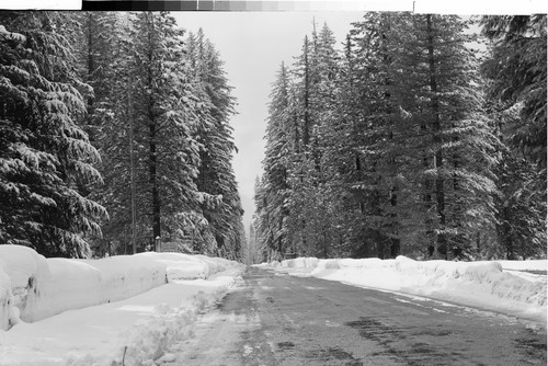 Crater Lake Highway, Oregon