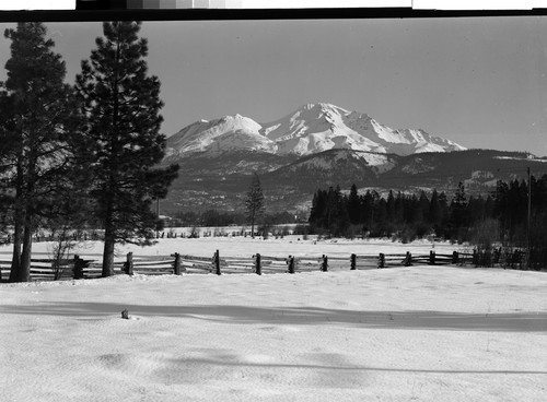 Mt. Shasta, Calif