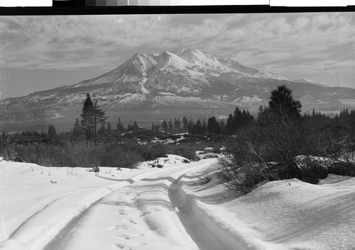 Mt. Shasta, Calif