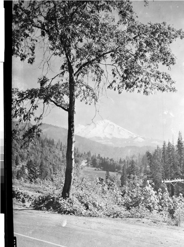 Mt. Shasta from near Dunsmuir