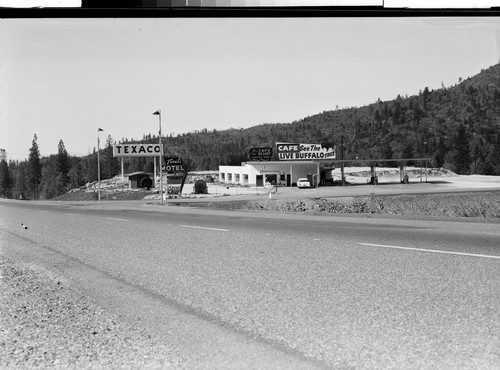 The Buffalo Ranch, Redding, Calif