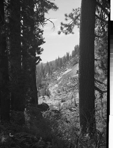 Geysers at Devils Kitchen, Drakesbad Lodge Chester, Calif