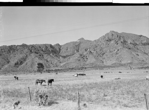 The Warner Mountains, Calif