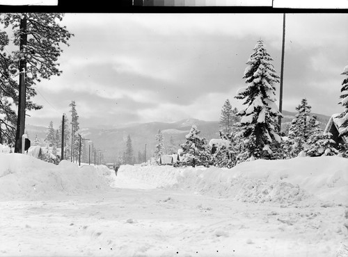 Unused Negatives of Westwood in Winter