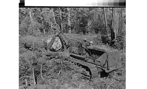 Logging truck