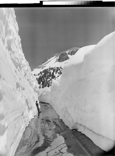 Mt. Lassen Snow