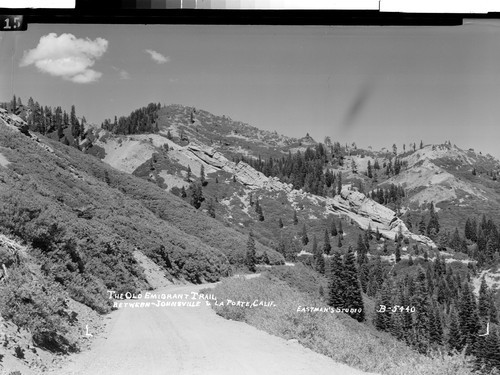 The Old Emigrant Trail between Johnsville & La Porte, Calif