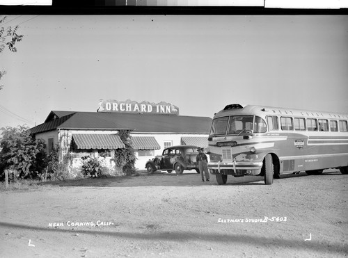 Near Corning, Calif