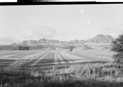 The Sutter Buttes, Calif