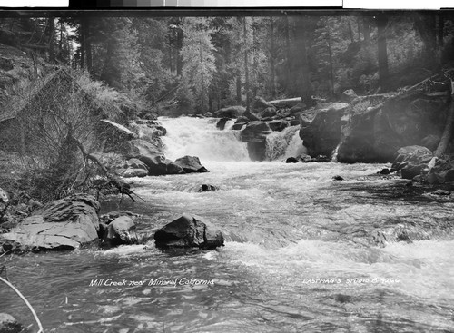 Mill Creek near Mineral, California