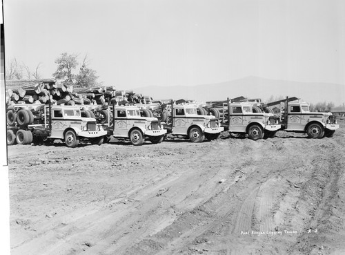 Paul Bunyan Logging Trucks