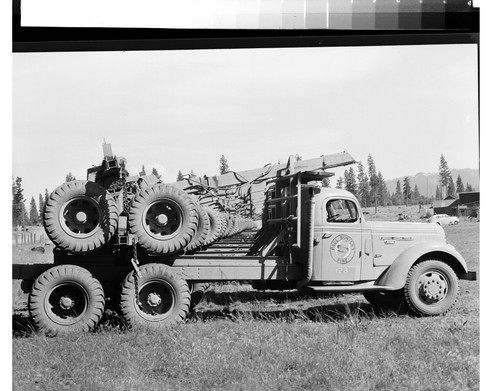 Diesel Logging Trucks