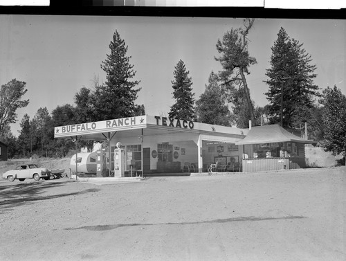 At The Buffalo Ranch near Redding, Calif