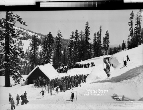 "Winter Sports" in Lassen Park near Mineral, Calif