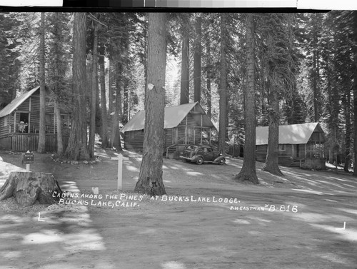 "Cabins among the Pines" at Buck's Lake Lodge, Buck's Lake, Calif