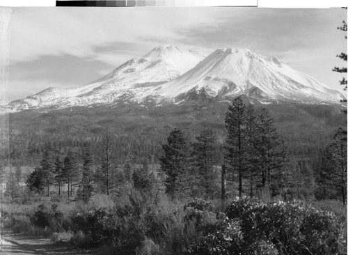 Mt. Shasta, Calif