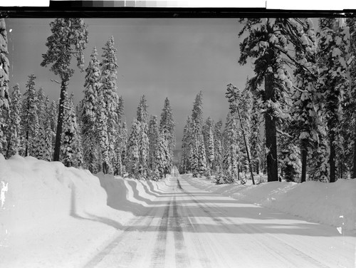 Susanville-Red Bluff Highway, Calif