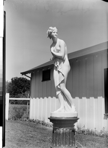 Venus by Danova, Napoleon's Sister. Metzger's Fising Lodge, Fall River Mills, Calif
