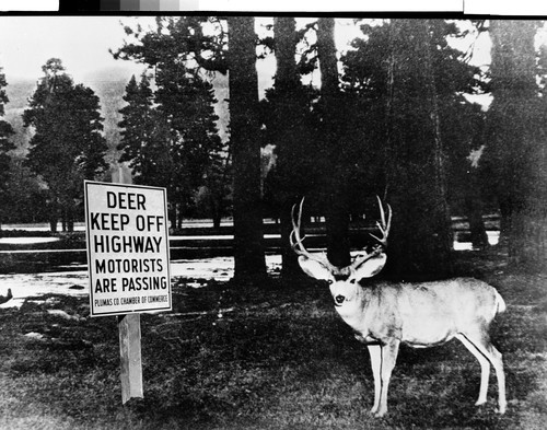 "DEER KEEP OFF HIGHWAY"