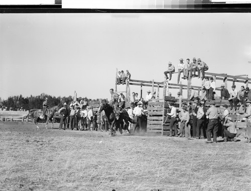 Modoc County Rodeo