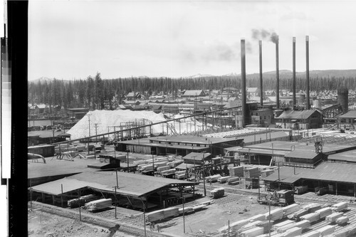 Red River Lumber Mill Overview